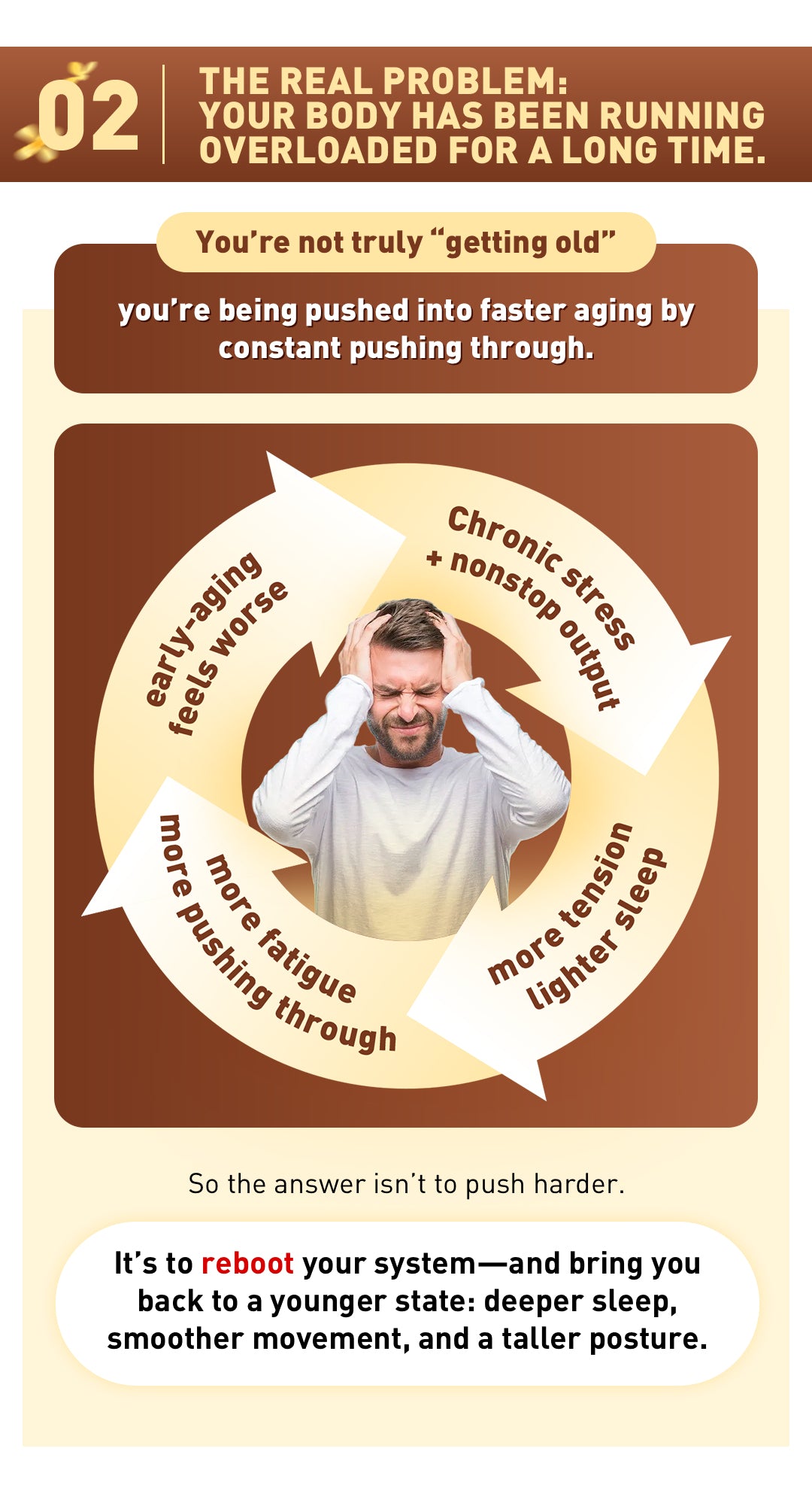 90 Days to More Energy & Feeling Younger