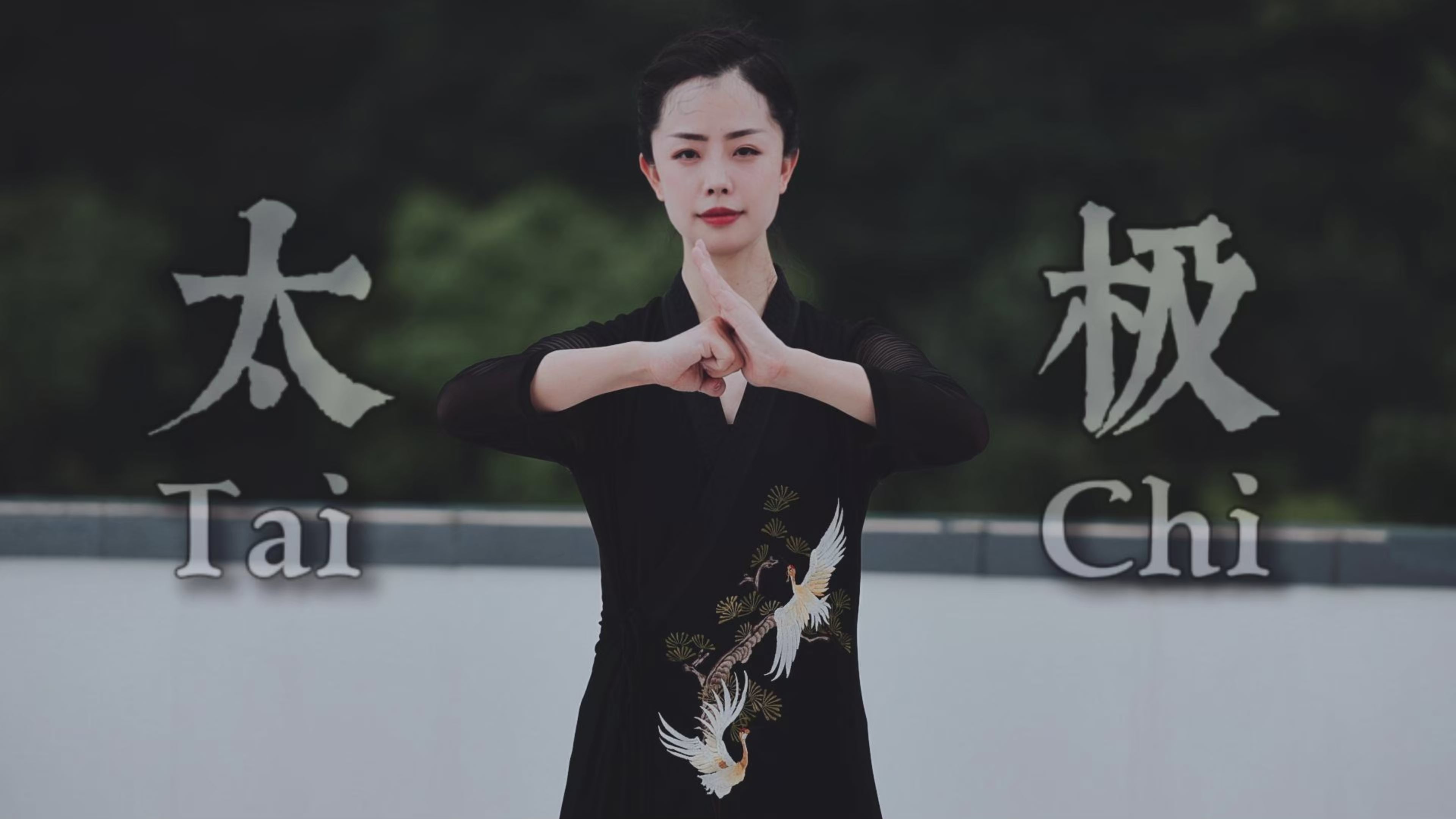 Load video: This video showcases Tai Chi, an ancient Chinese martial art and form of Taichi with over 300 years of history. Combining strength and softness, TaiChi promotes physical well-being and longevity. Suitable for all ages and adaptable to any time or space, it encourages mindfulness and a slower pace to embrace the present and enjoy life.